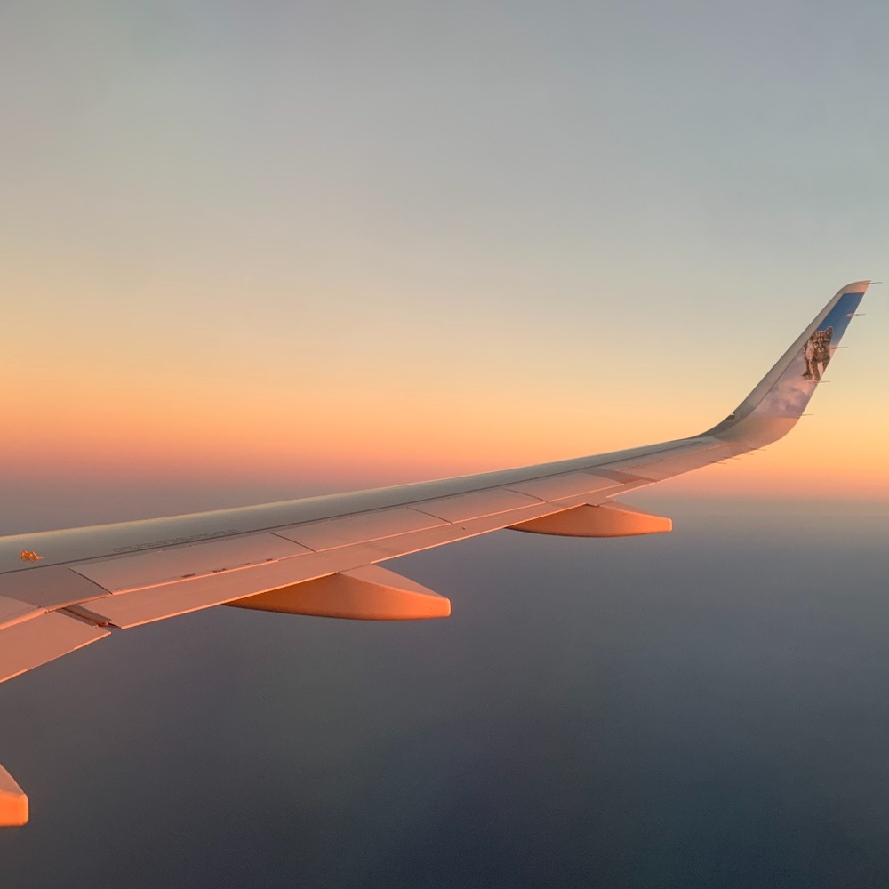 Meet your Posher, Sienna